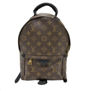 Louis Vuitton Palm Springs Luxury Backpack Handbag
